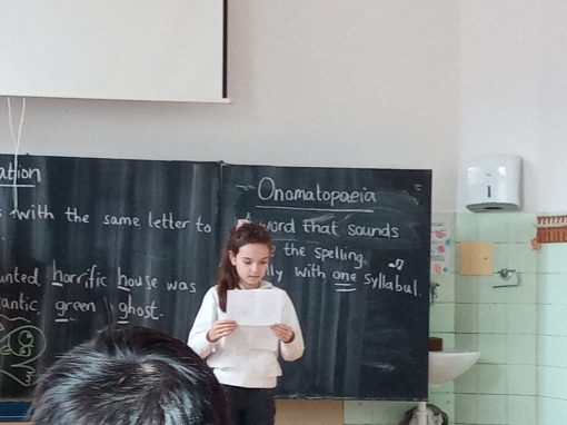 IMG_20240227_114540_974