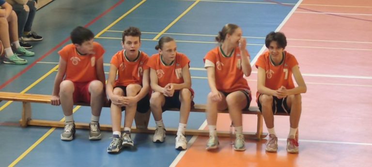 Okresné kolo v basketbale