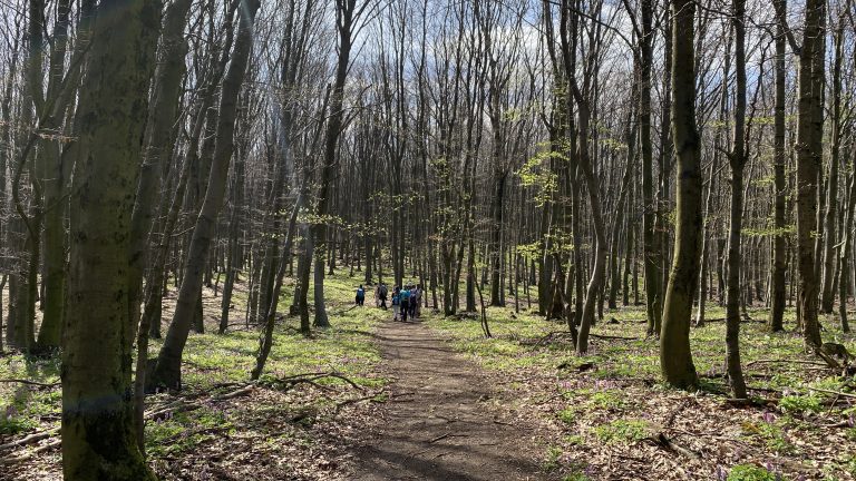 S turistickým krúžkom Plaveckým krasom 2