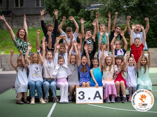 ZSMH_2024_trieda_3A_KOD-04601