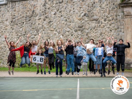 ZSMH_2024_trieda_6B_KOD-02308