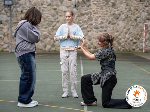 ZSMH_2024_trieda_6B_KOD-02412