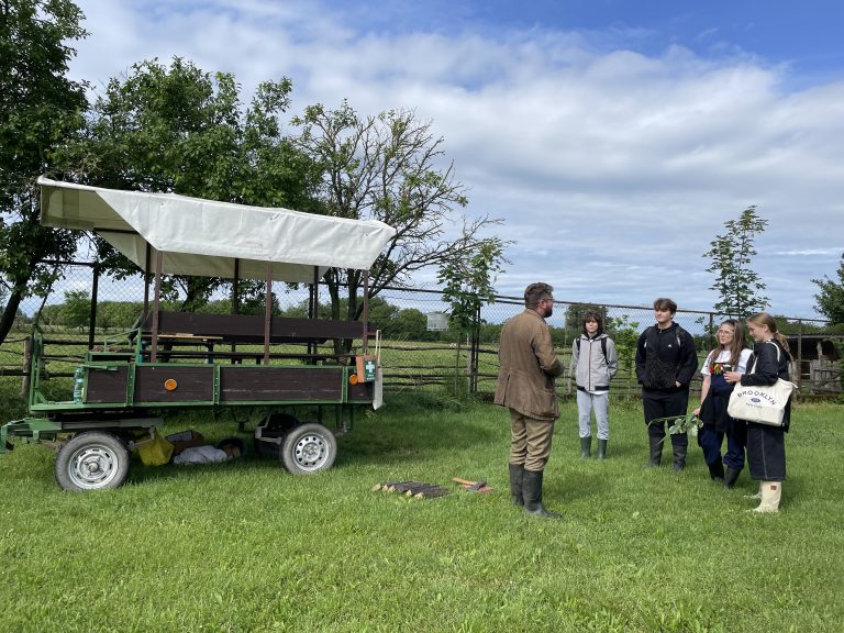 Druhé miesto v súťaži Hypericum