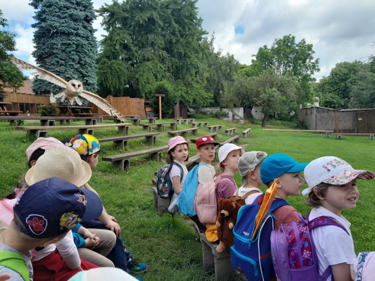 Žabky a Sovičky na koncoročnom výlete