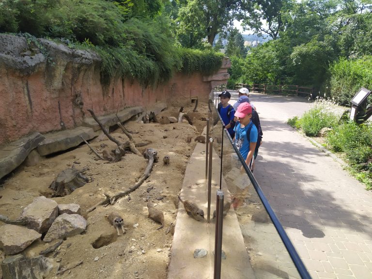 Školský výlet 5.C BRNO