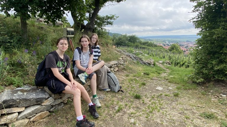 S turistickým krúžkom zo Svätého Jura do Rače. Za vinohradníckymi výhľadmi.
