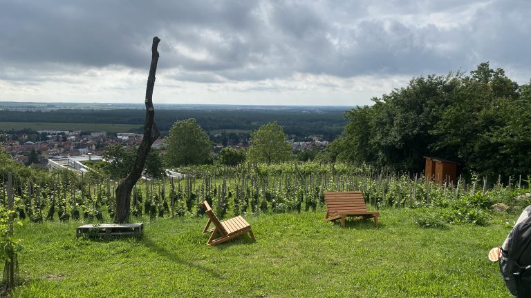 S turistickým krúžkom zo Svätého Jura do Rače. Za vinohradníckymi výhľadmi.