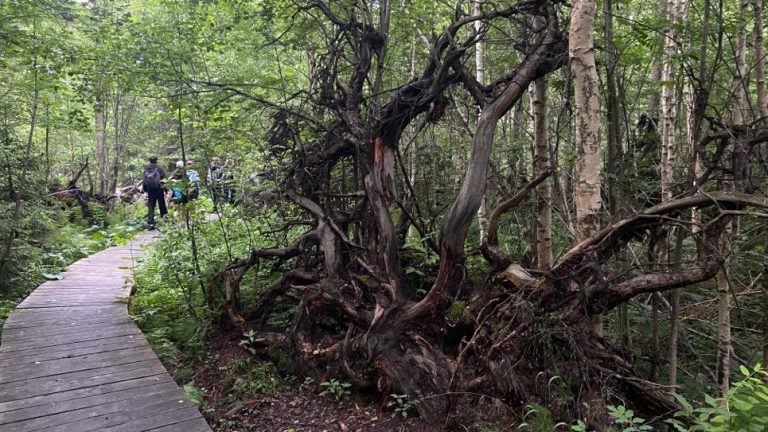 S turistickým krúžkom vo Vysokých Tatrách