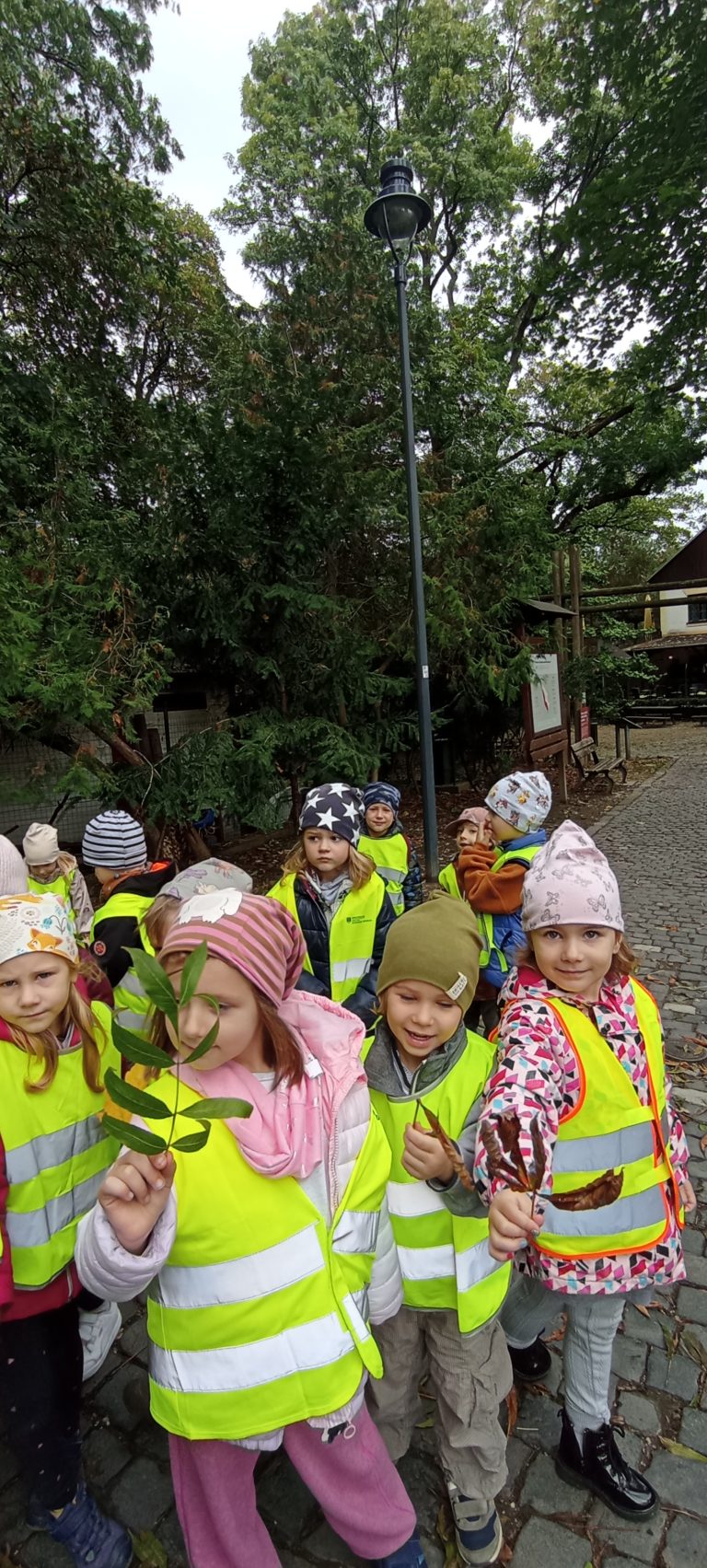 Tajomstvo jesenného lesa