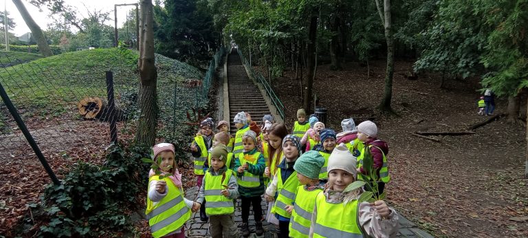 Tajomstvo jesenného lesa