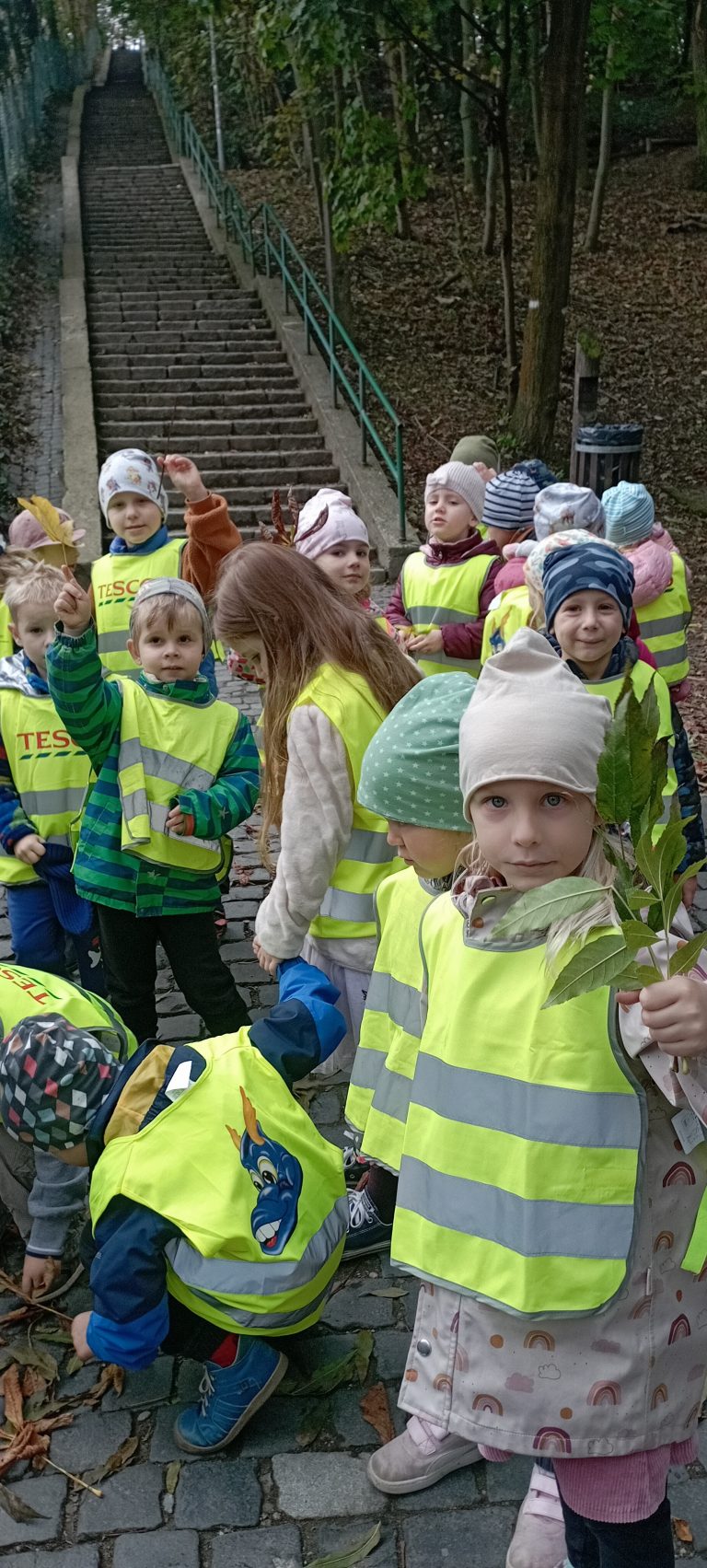Tajomstvo jesenného lesa