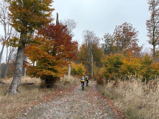 21100c66-75b8-4a5e-8b71-bf065094f916