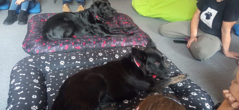 Čítanie psíkom v mestskej knižnici