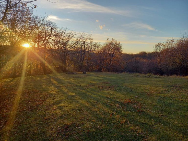 S turistickým krúžkom z Rače na hrad Pajštún
