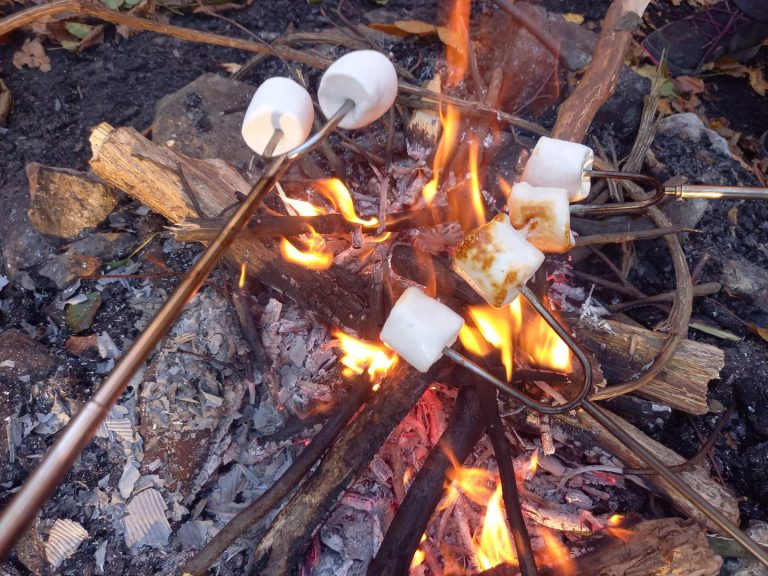 S turistickým krúžkom z Rače na hrad Pajštún