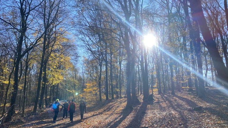 S turistickým krúžkom z Rače na hrad Pajštún