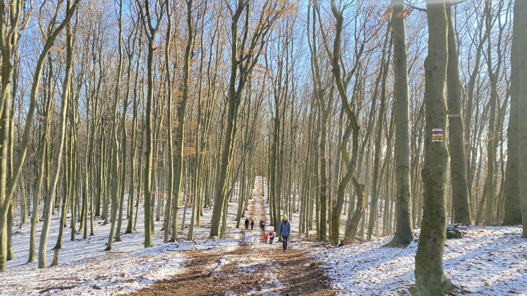 S turistickým krúžkom z Rače na hrad Pajštún