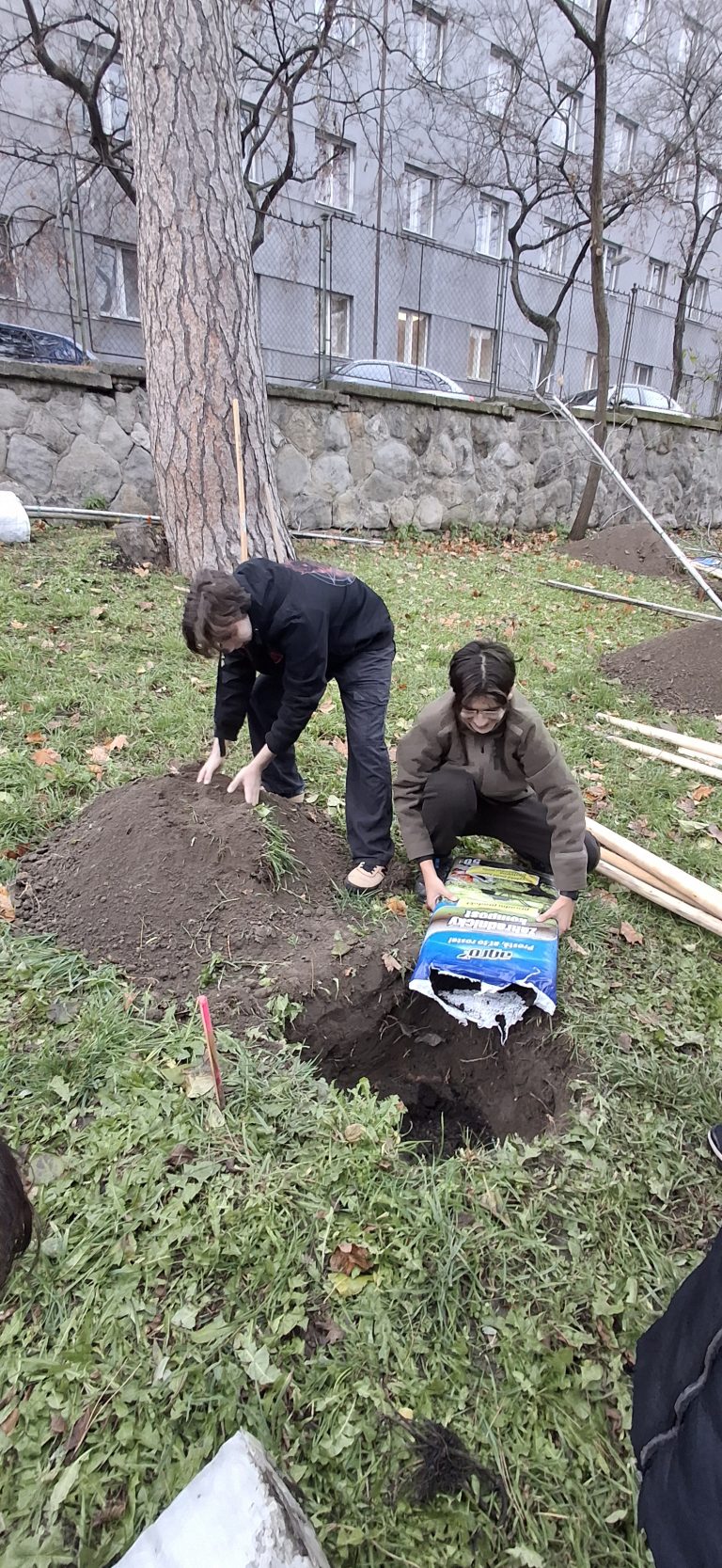 Zasaď strom – Plant a Tree