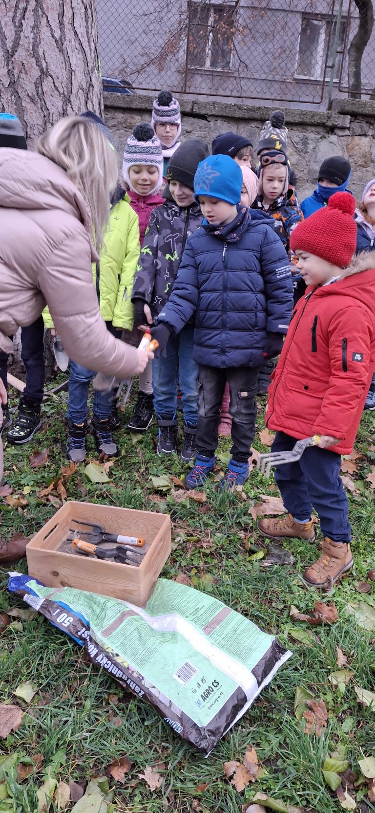 Zasaď strom – Plant a Tree