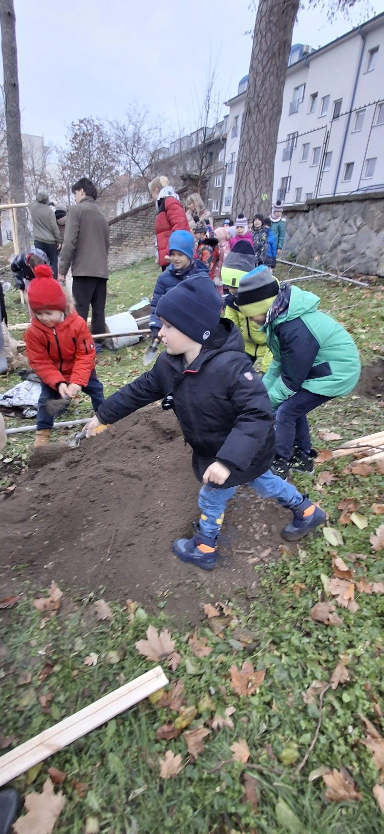 Zasaď strom – Plant a Tree