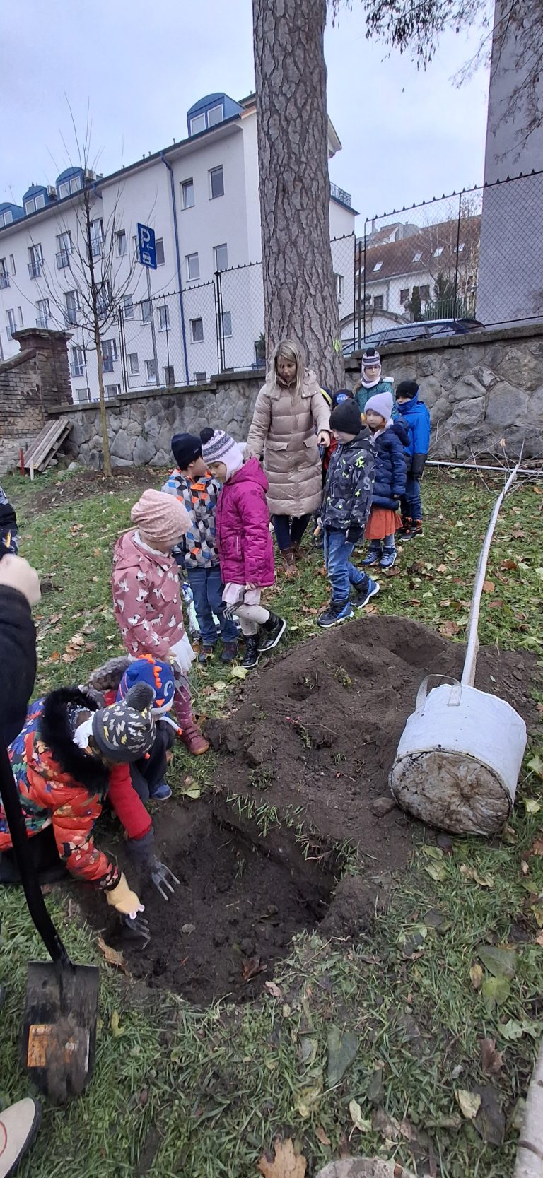 Zasaď strom – Plant a Tree