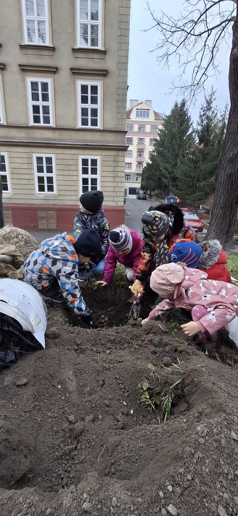 Zasaď strom – Plant a Tree