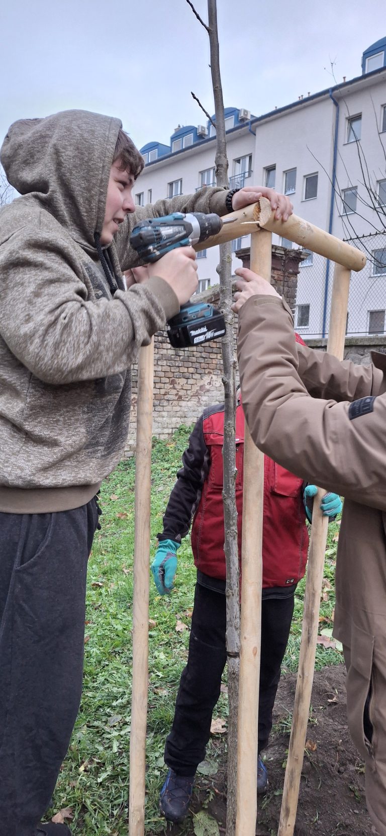 Zasaď strom – Plant a Tree