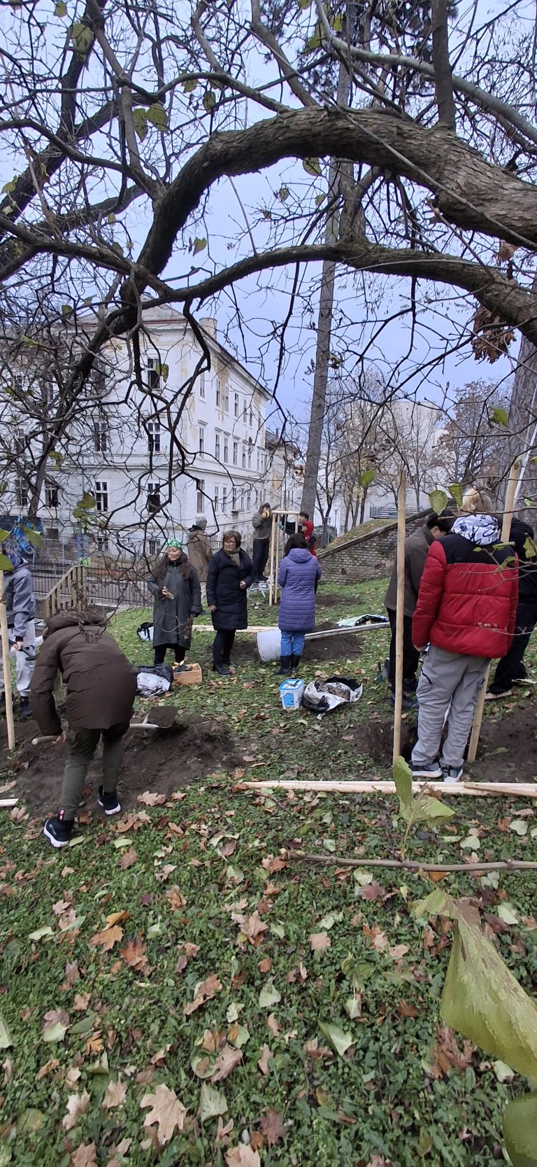 Zasaď strom – Plant a Tree