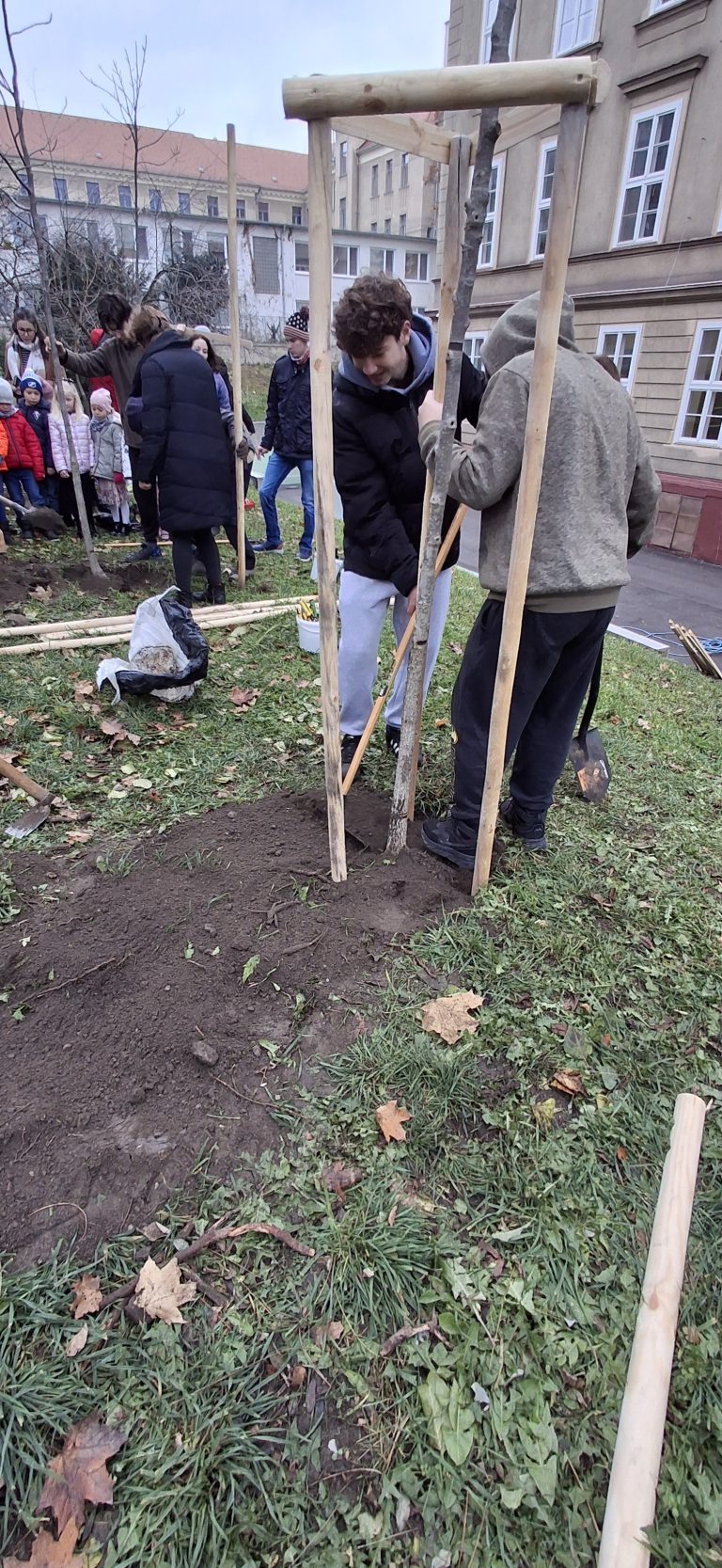 Zasaď strom – Plant a Tree