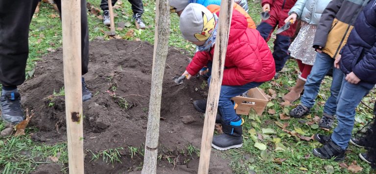 Zasaď strom – Plant a Tree