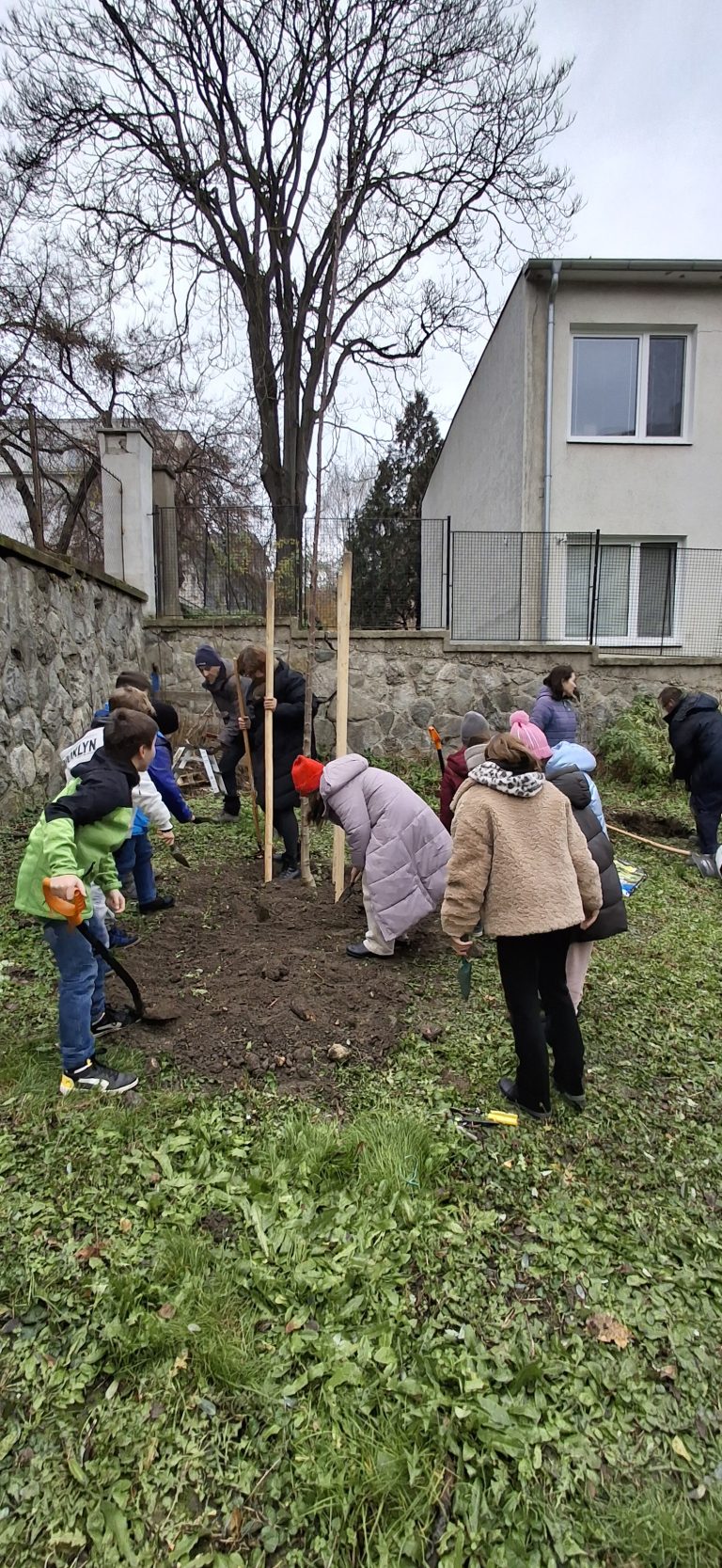 Zasaď strom – Plant a Tree