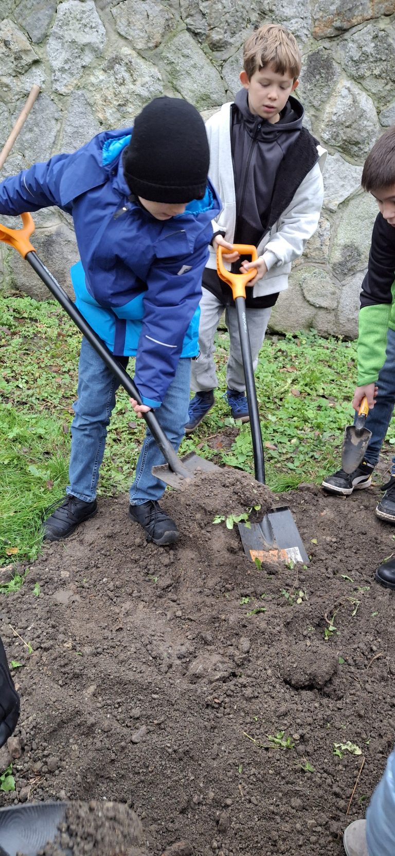Zasaď strom – Plant a Tree