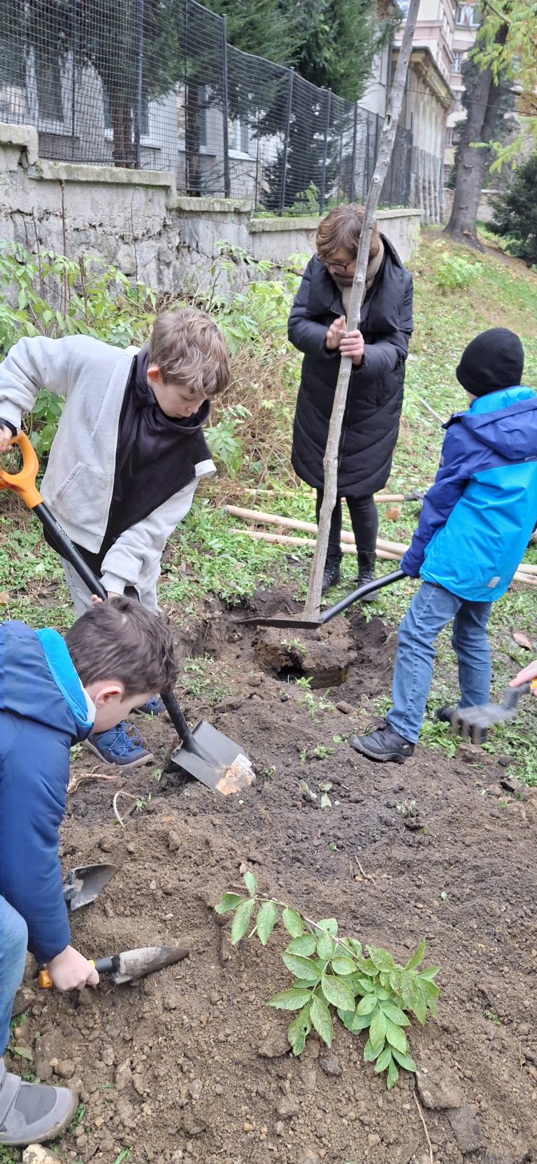 Zasaď strom – Plant a Tree