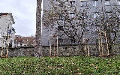 Zasaď strom – Plant a Tree