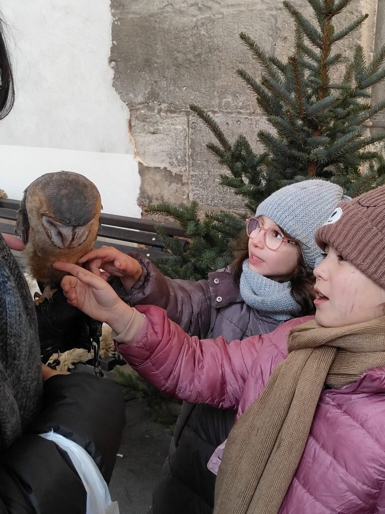 Historické vianočné trhy