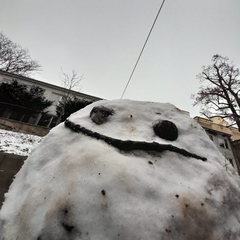 Januárové zimné výtvory