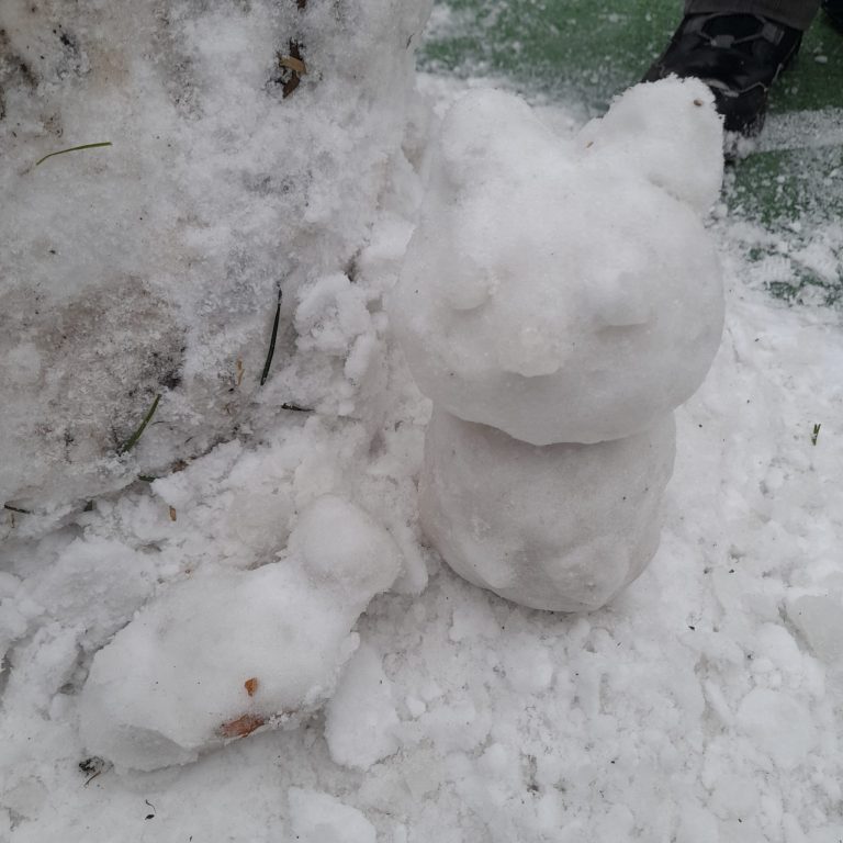 Januárové zimné výtvory