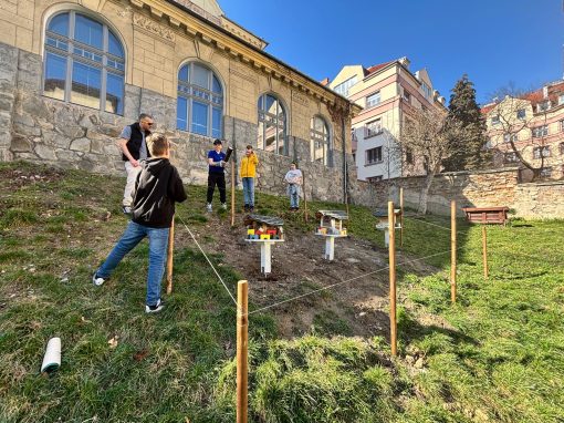 e8ea69c8-40cd-480d-9c0a-3a8e605b83e6