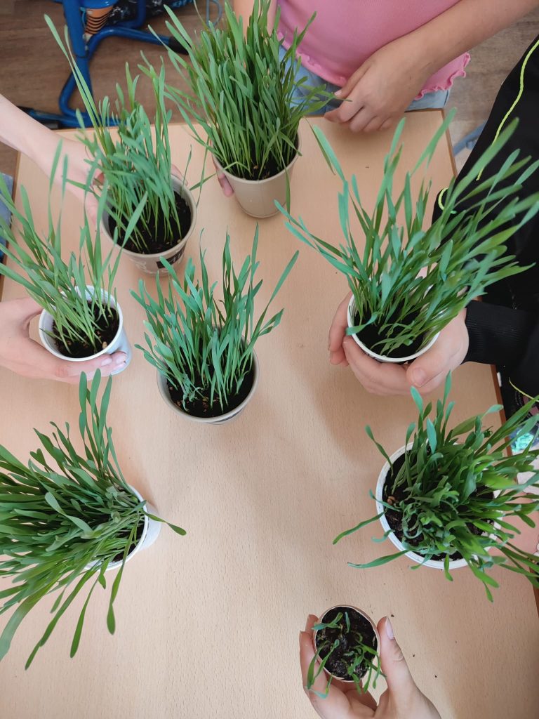 Veľkonočné výrobky