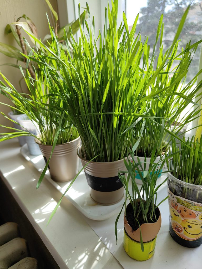 Veľkonočné výrobky