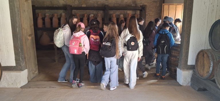 Rímske mesto – Carnuntum