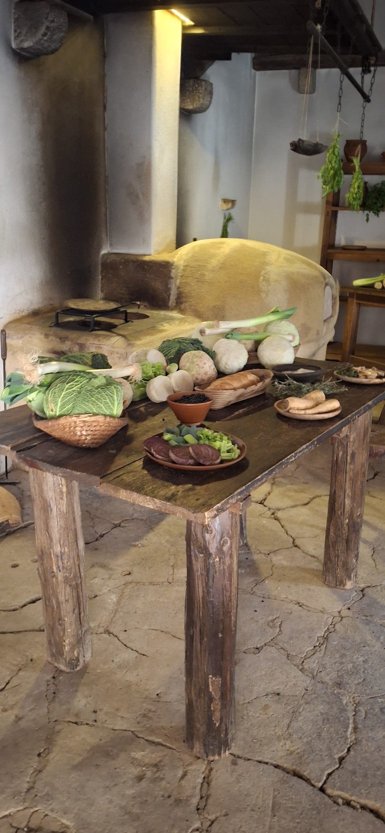 Rímske mesto – Carnuntum