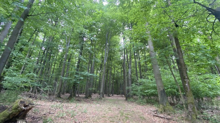 S turistickým krúžkom na Limbašskej 50-ke