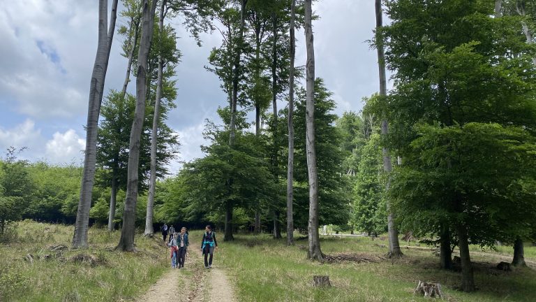 S turistickým krúžkom na Limbašskej 50-ke