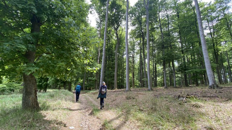 S turistickým krúžkom na Limbašskej 50-ke