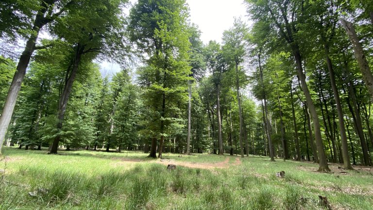 S turistickým krúžkom na Limbašskej 50-ke