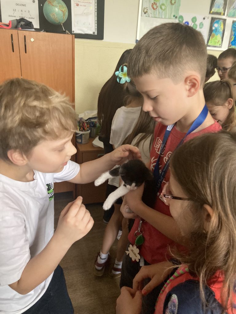 Výnimočné ranné kruhy