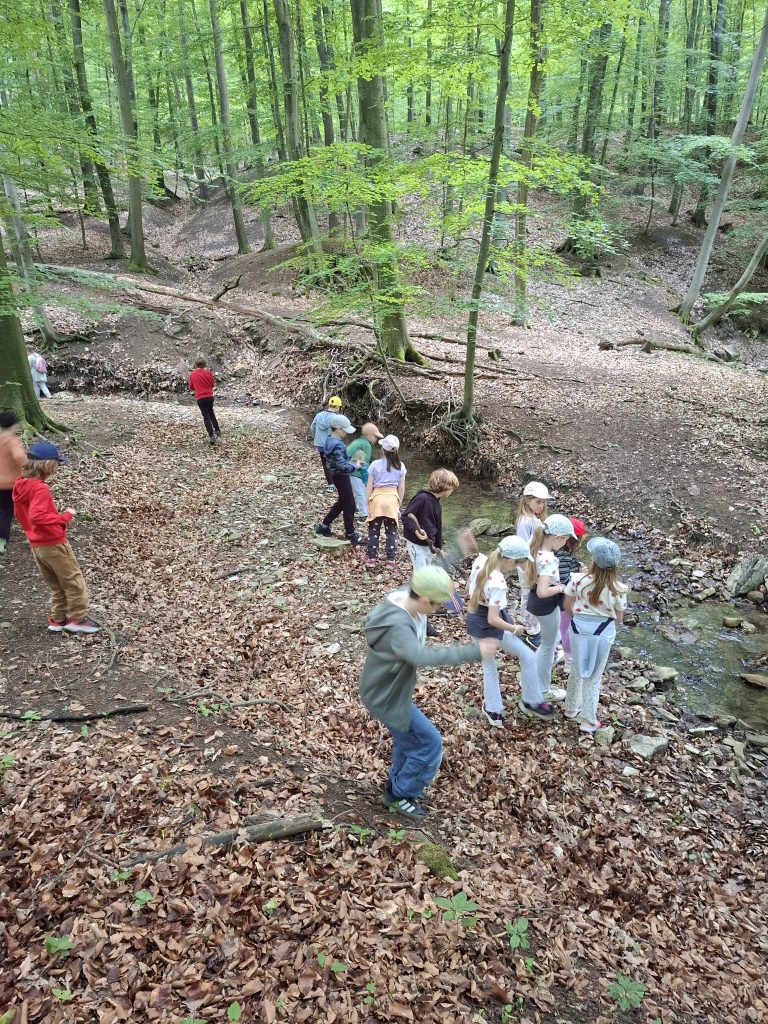 Škola v prírode – Skalica