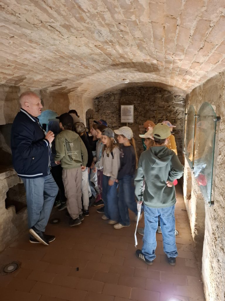 Škola v prírode – Skalica