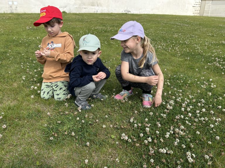 Piknik na Bratislavskom hrade